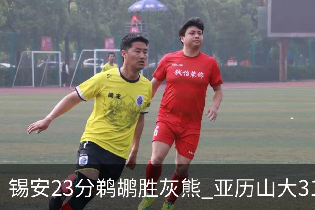 锡安23分鹈鹕胜灰熊 亚历山大31+10雷霆屠公牛